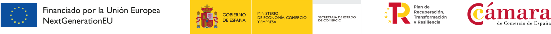Instituciones financiadoras del programa
